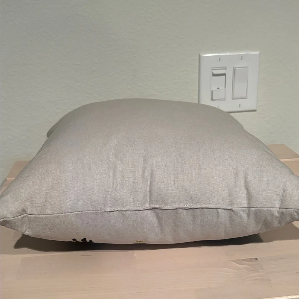 🐦‍⬛ Pottery Barn “If you’ve got it, haunt it” pillow 🐦‍⬛
